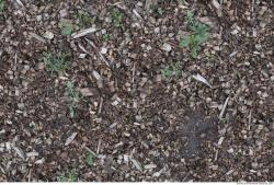 Photo Textures of Wood